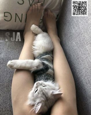 澳门三级电影_4K高清在线观看
